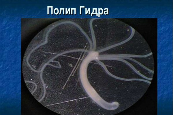 Kraken ссылки актуальные 2025 г