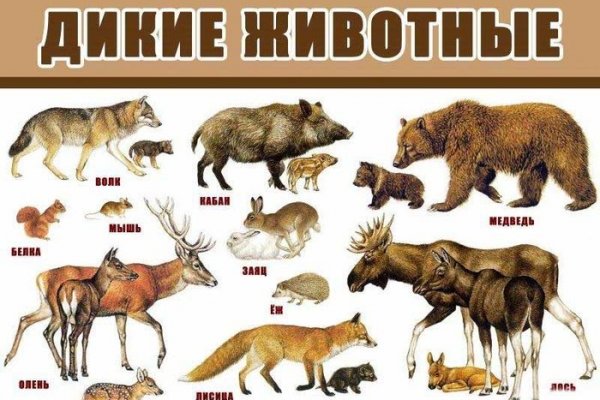 Заказать супернет