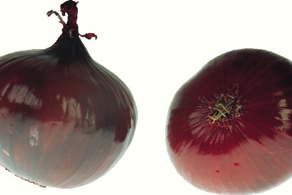 Kraken onion link