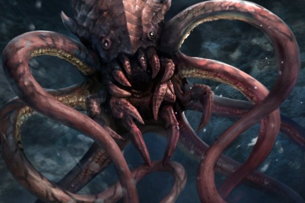Kraken kraken dark link